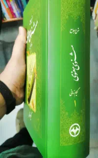 شرح جامع مثنوی معنوی