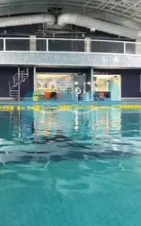 آموزش شنا برای تمام رده های سنی