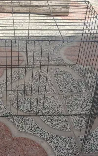 قفس جفتکن تاشو