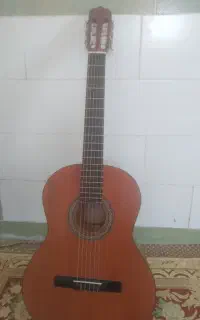 یک عددگیتار