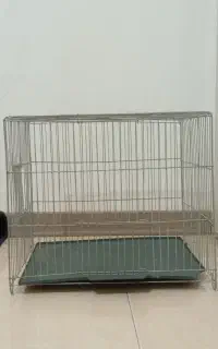 قفس مرغ عشق
