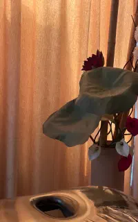 اجاره ی لاین ماساژ