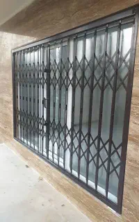 حفاظ اکاردونی  ریلی