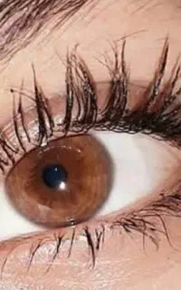 انواع مدل  اکستنشن مژه ببن ۲۰۰ تا ۳۵۰