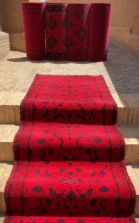 کناره سرخ افشان