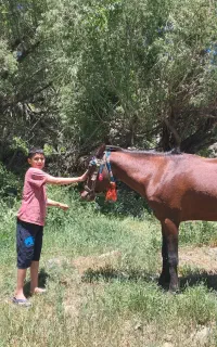 تور یک روزه رویایی پل زنگوله روستای ونمه طبیعت بکر