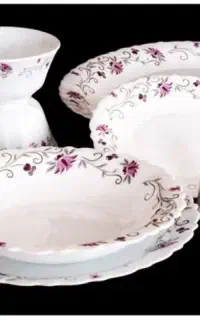 اکروپال گل صورتی اپال پارس 18نفره