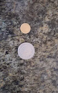سکه