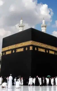 فیش حج عمره