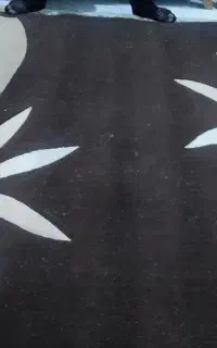 دوعددگلیم فرش 6متری