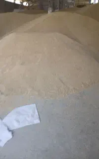 جو دیم