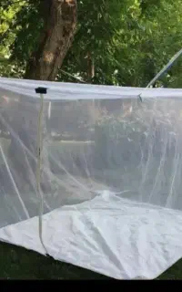 پشه بند