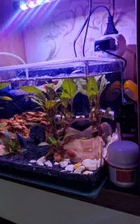 آکواریوم شیشه خم سایز ۳۰ سانت