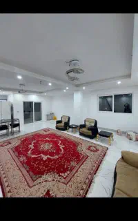 اجاره آپارتمانی نوساز تک خواب