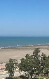 استخدام نیروی مرد در هتل