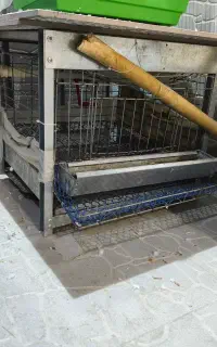 قفس بلدرچین