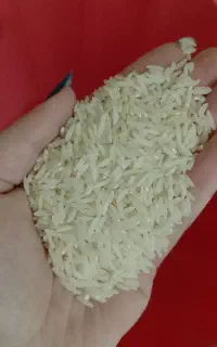 برنج هاشمی