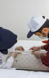 سمپاشی سم پاشی ساس سوسک کنه فقط فقط با یک جلسه