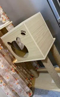 خانه گربه