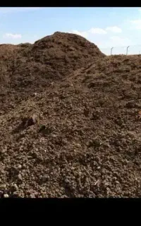 فروش کود مرغی بدون واسطه مستقیم از مرغداری