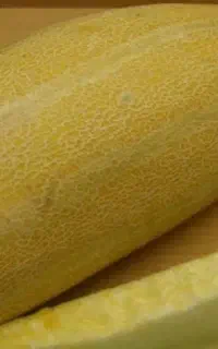 خربزه مشهدی