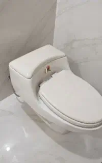 فروش فرنگی خروجی ۱۰