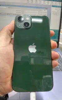13 normal