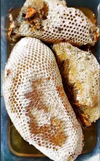 عسل طبیعی نعیم آباد