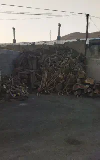 خریدار چوب به صورت عمده در کازرون