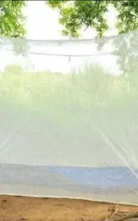 پشه بند