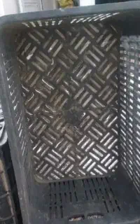 ۱۰ عدد سبد گوجه