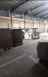 کارتن سازی بهزاد