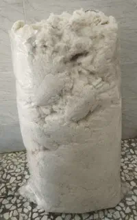 پنبه نو