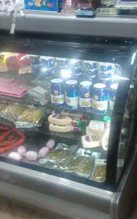 یخچال خوابیده الکترو استیل وکالباس بر