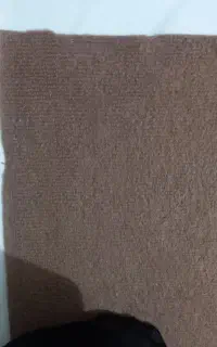 موکت