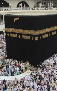فیش حج عمره (در اولویت )