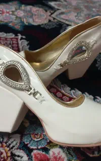 کفش مجلسی