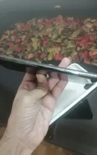 ایفون ایکس اس مکس