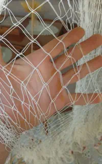 تور ماهیگیری