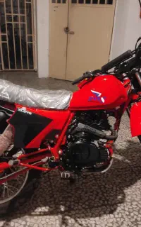 تریل 250 اکسل مدل 1403