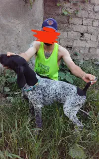 توله شکاری