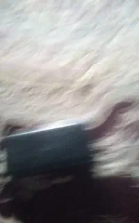 قیمت دو میلیون