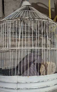 فثقفس طورقه یا سره خاکی