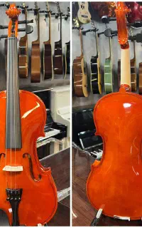 ویولن رناتو ۲۲۰ با تمام لوازم