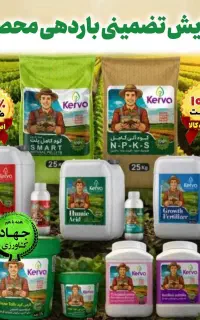 اگه سیب درشت و صادراتی میخوای این کود رو بزن