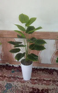 درختچه مصنوعی پتوس سبز