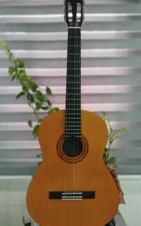 گیتار