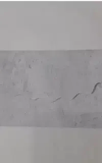 حراج پاکت پول
