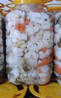 پخش عمده ترشیجات و شوریجات