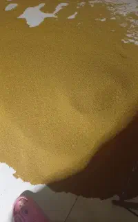 بذر یونجه خالص بوجاری شده